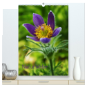 Naturbilder (hochwertiger Premium Wandkalender 2025 DIN A2 hoch), Kunstdruck in Hochglanz