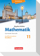 Bigalke/Köhler: Mathematik - 11. Schuljahr - Brandenburg - Grundkurs