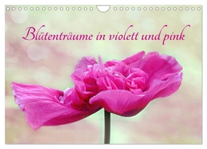 Sarnade, Sarnade. Blütenträume in violett und pink (Wandkalender 2024 DIN A4 quer), CALVENDO Monatskalender - Romantische Blumenmotive in harmonischen Farben. Calvendo, 2023.