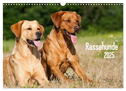 Rassehunde (Wandkalender 2025 DIN A3 quer), CALVENDO Monatskalender