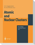 Atomic and Nuclear Clusters