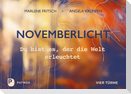 Novemberlicht