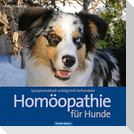 Homöopathie für Hunde