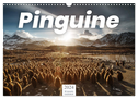 Pinguine - Die sympathischen Frack-Träger (Wandkalender 2024 DIN A3 quer), CALVENDO Monatskalender