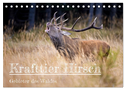 Krafttier Hirsch (Tischkalender 2024 DIN A5 quer), CALVENDO Monatskalender