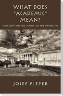 What Does Academic Mean?: Two Essays on the Chances of the University Today