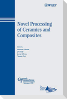 Ceramic Transactions V195