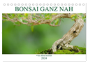 Bonsai ganz nah (Tischkalender 2024 DIN A5 quer), CALVENDO Monatskalender