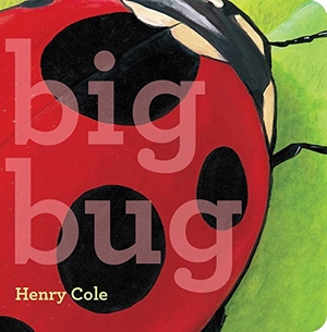 Cole, Henry. Big Bug. Little Simon, 2018.