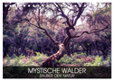 Mystische Wälder - Zauber der Natur (Tischkalender 2025 DIN A5 quer), CALVENDO Monatskalender