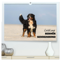 Liebling BERNER SENNENHUND (hochwertiger Premium Wandkalender 2025 DIN A2 quer), Kunstdruck in Hochglanz