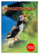 Papageitaucher Monatsplaner (Wandkalender 2024 DIN A2 hoch), CALVENDO Monatskalender