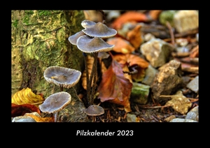 Tobias Becker. Pilzkalender 2023 Fotokalender DIN A3 - Monatskalender mit Bild-Motiven aus Fauna und Flora, Natur, Blumen und Pflanzen. Vero Kalender, 2022.