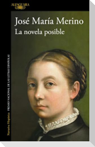 La Novela Posible / The Possible Novel