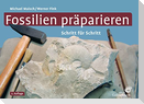 Fossilien präparieren