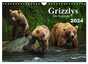 Grizzlys - Der Kalender (Wandkalender 2024 DIN A4 quer), CALVENDO Monatskalender