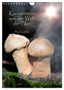 Kuriositäten aus der Welt der Pilze (Wandkalender 2024 DIN A4 hoch), CALVENDO Monatskalender