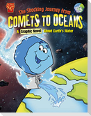 The Shocking Journey from Comets to Oceans