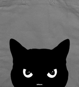 Katze, grau. teNeues Verlag GmbH, 2026.