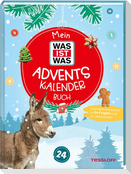 Mein WAS IST WAS Adventskalenderbuch 4