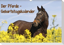 Der Pferde-Geburtstagskalender (Wandkalender immerwährend DIN A3 quer)