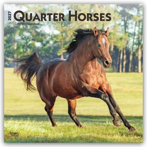 Publishers, Browntrout. Quarter Horses - Quarter Horse 2027 - 16-Monatskalender - Original BrownTrout-Kalender [Mehrsprachig] [Kalender]. Browntrout Verlags GmbH, 2026.