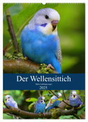 Der Wellensittich - Mein Lieblingsvogel (Wandkalender 2025 DIN A2 hoch), CALVENDO Monatskalender