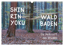 Shinrin yoku - Waldbaden 2024 (Wandkalender 2024 DIN A3 quer), CALVENDO Monatskalender