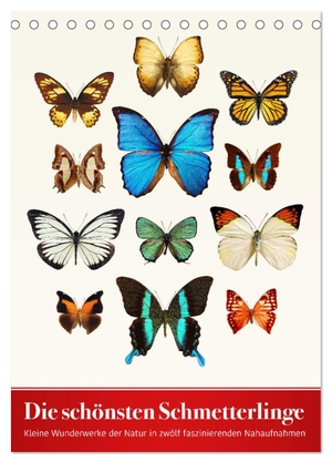 Art Print, Wildlife. Die schönsten Schmetterlinge (Tischkalender 2024 DIN A5 hoch), CALVENDO Monatskalender - Kleine Wunderwerke der Natur in zwölf faszinierenden Nahaufnahmen. Calvendo Verlag, 2023.