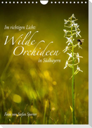 Im richtigen Licht: Wilde Orchideen in Südbayern (Wandkalender 2022 DIN A4 hoch)