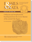 Fossils and Strata, Orthacean and Strophomenid Brachiopods from the Lower Silurian of the Central Oslo Region