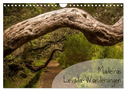 Madeiras Levada-Wanderungen (Wandkalender 2025 DIN A4 quer), CALVENDO Monatskalender