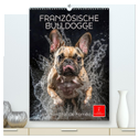 Französische Bulldogge - ein Hund für die Familie (hochwertiger Premium Wandkalender 2024 DIN A2 hoch), Kunstdruck in Hochglanz