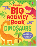 Big Activity Book Dinosaurs