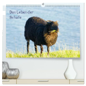 Das Leben der Schafe (hochwertiger Premium Wandkalender 2024 DIN A2 quer), Kunstdruck in Hochglanz