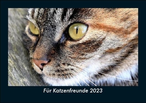 Tobias Becker. Für Katzenfreunde 2023 Fotokalender DIN A5 - Monatskalender mit Bild-Motiven von Haustieren, Bauernhof, wilden Tieren und Raubtieren. Vero Kalender, 2022.