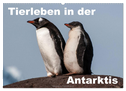Tierleben in der Antarktis (Wandkalender 2024 DIN A2 quer), CALVENDO Monatskalender