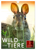 Wildtiere - schön und scheu (Wandkalender 2025 DIN A4 hoch), CALVENDO Monatskalender