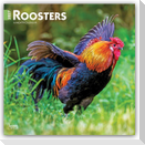 Roosters - Hähne 2027 - 16-Monatskalender