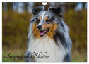 Traumhund Sheltie (Wandkalender 2024 DIN A4 quer), CALVENDO Monatskalender