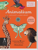 Animalium (Junior Edition)