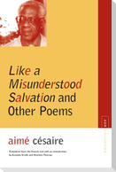 Like a Misunderstood Salvation and Other Poems