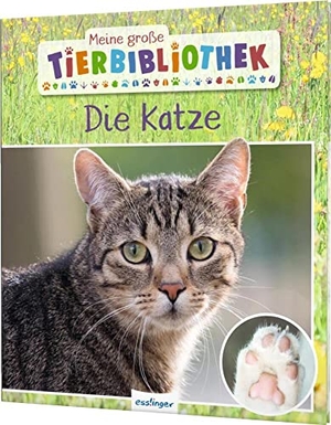 Ledu-Frattini, Stéphanie. Meine große Tierbibliothek: Die Katze - Sachbuch für Vorschule & Grundschule. Esslinger Verlag, 2020.