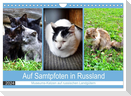 Auf Samtpfoten in Russland - Museums-Katzen auf russischen Landgütern (Wandkalender 2024 DIN A4 quer), CALVENDO Monatskalender