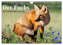 Der Fuchs. Bezaubernder Geselle (Wandkalender 2025 DIN A4 quer), CALVENDO Monatskalender