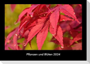 Pflanzen und Blüten 2024 Fotokalender DIN A3