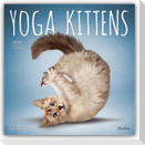 Yoga Kittens - Kätzchen Yoga 2026 - 16-Monatskalender