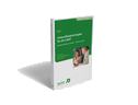 Umwandlungsstrategien für die GmbH