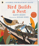 Bird Builds a Nest