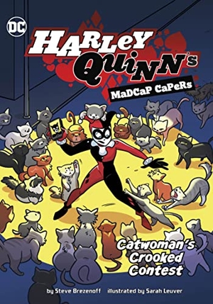 Brezenoff, Steve. Catwoman's Crooked Contest. Capstone, 2022.